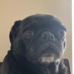 Bugha Twitch profile picture